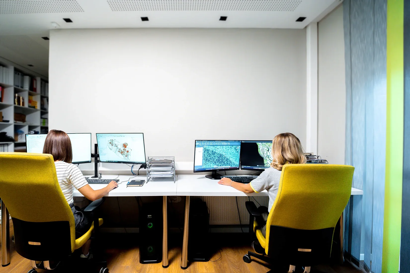 Geobiro team working with survey and model data in the office.